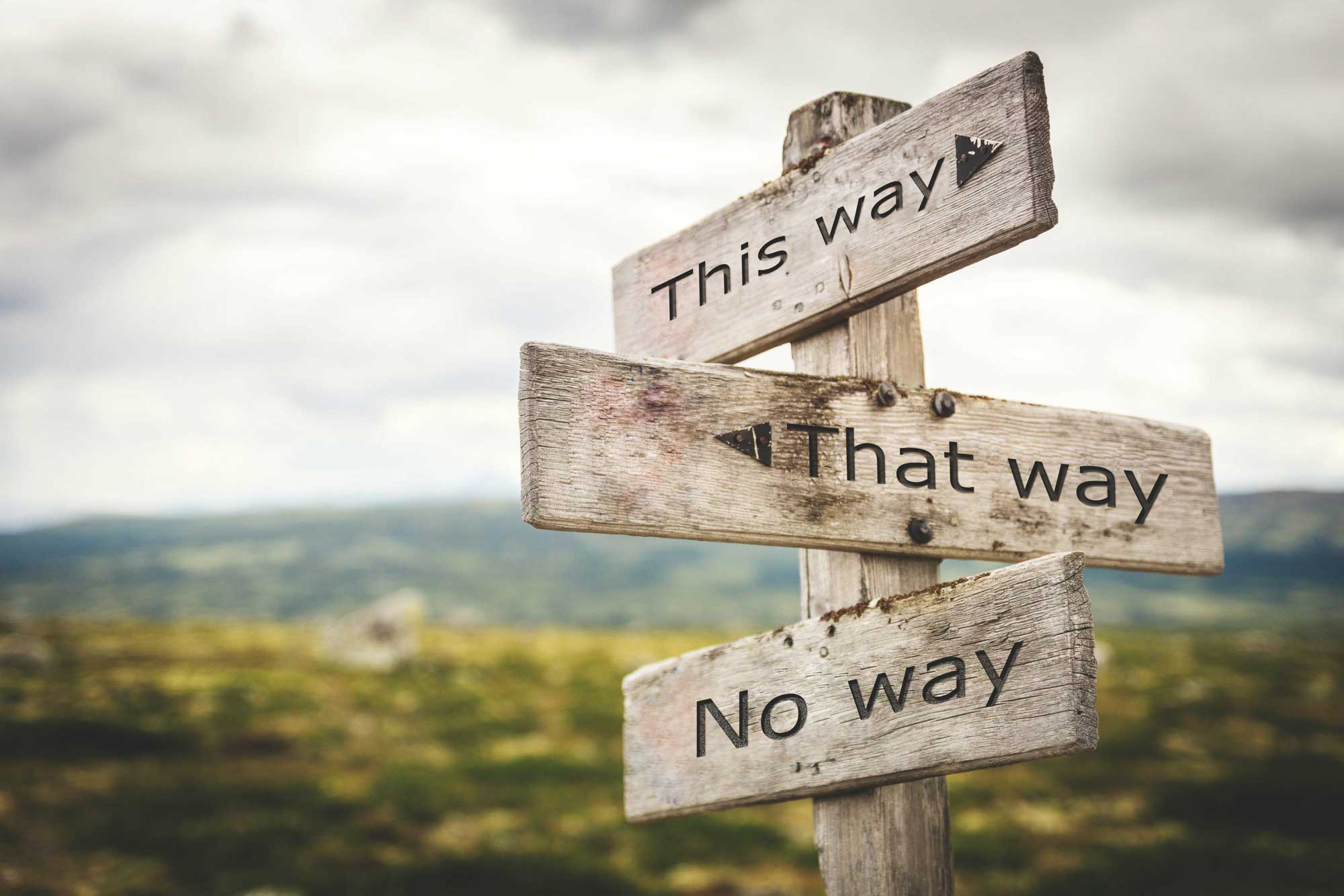 this-way this-way